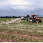 Récupération plastique