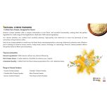 NATURAL CHEESE POWDERS