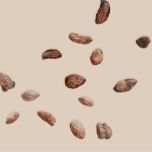 Vinpocetine&Vincamine