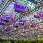 Voltiris - les premiers modules solaires compatibles avec les serres verres