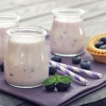 PerfectaSOL®: The perfect texturizer for plant-based cheese & dairy