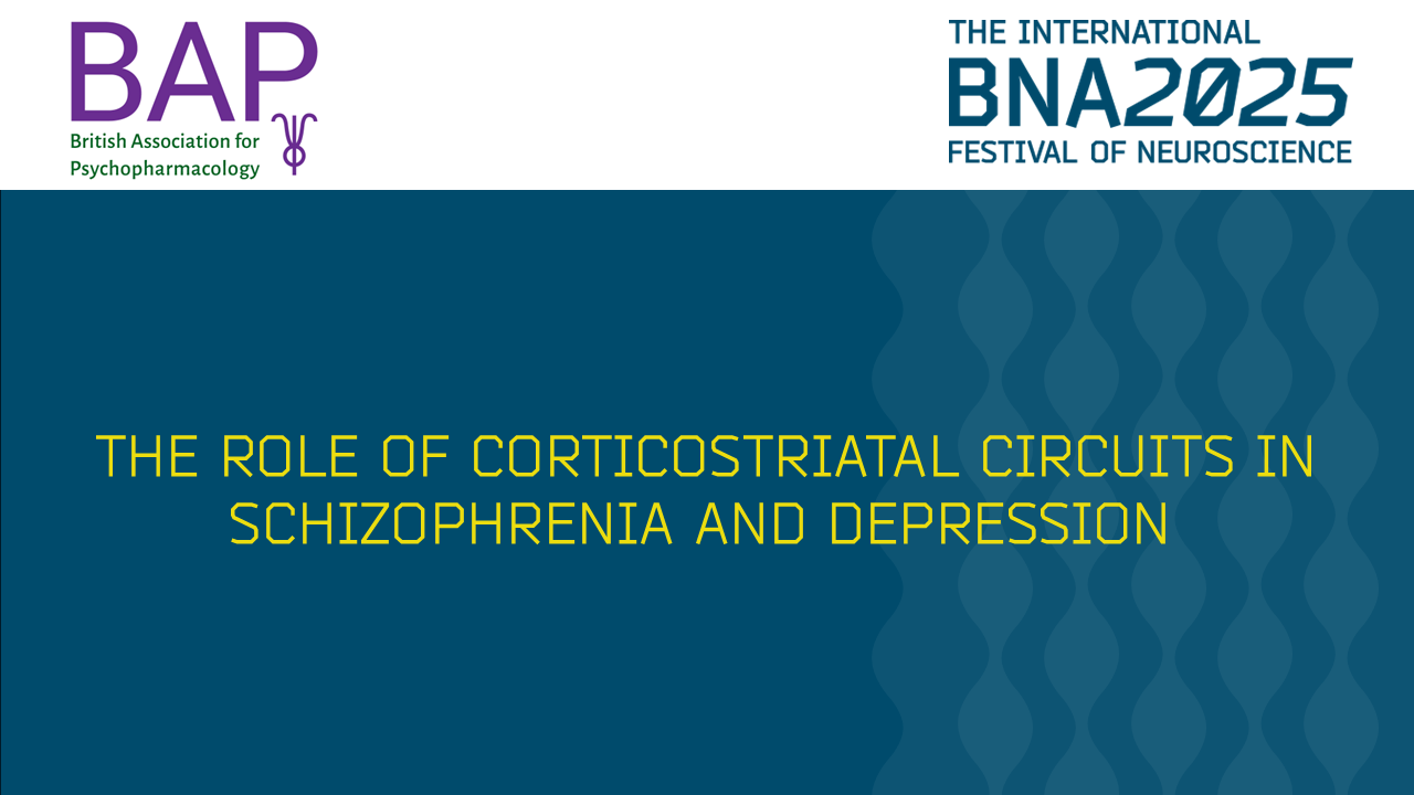 S13: The role of corticostriatal circuits in schizophrenia and depression
