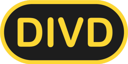DIVD (Dutch Institute for Vulnerability Disclosure)