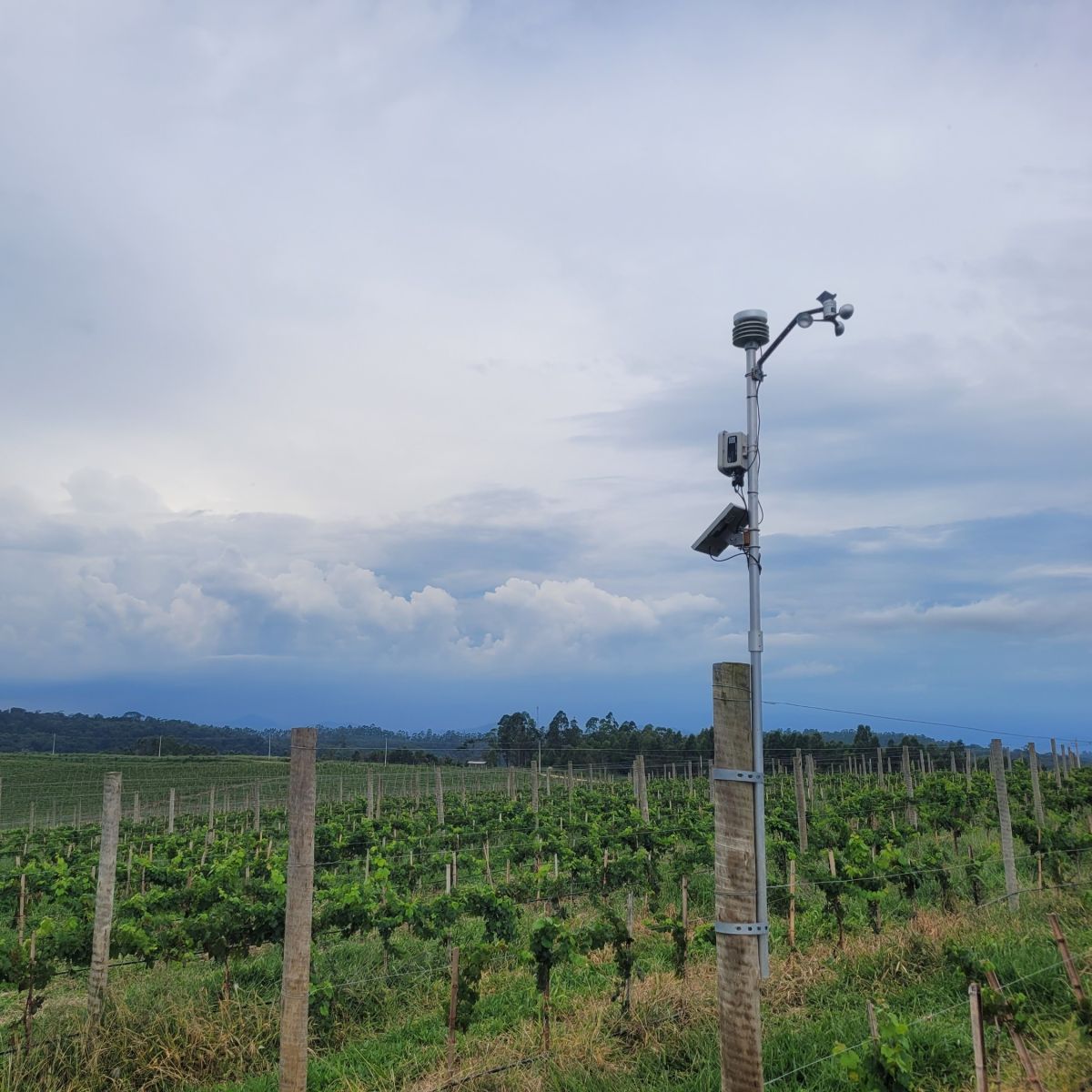 Soil Monitoring with Advanced Weather Monitoring Kit