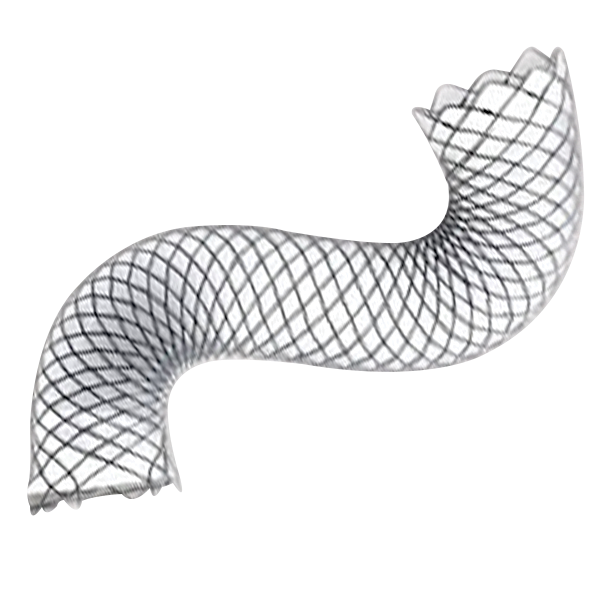 Non-Cardiac Self Expandable Metallic Stent
