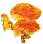 Fibregum the all-natural and GMO-free prebiotic ingredient