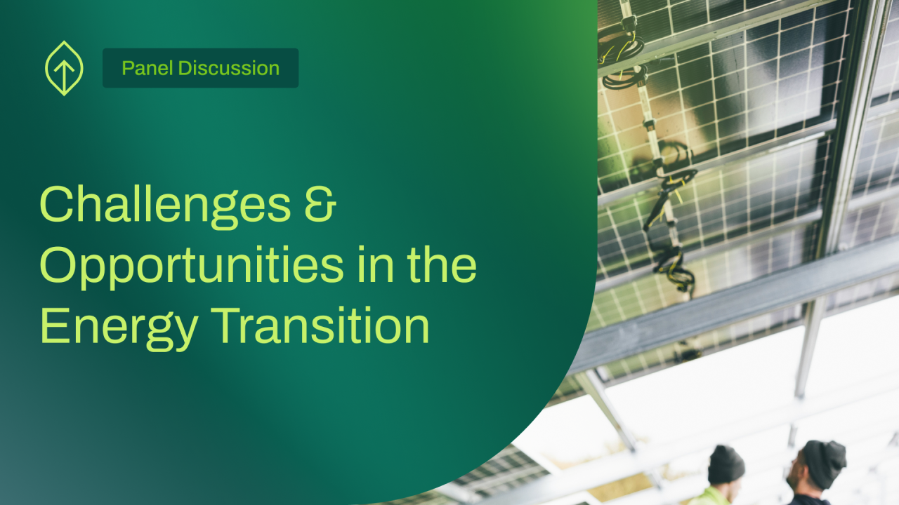Challenges and Opportunities in the Energy Transition