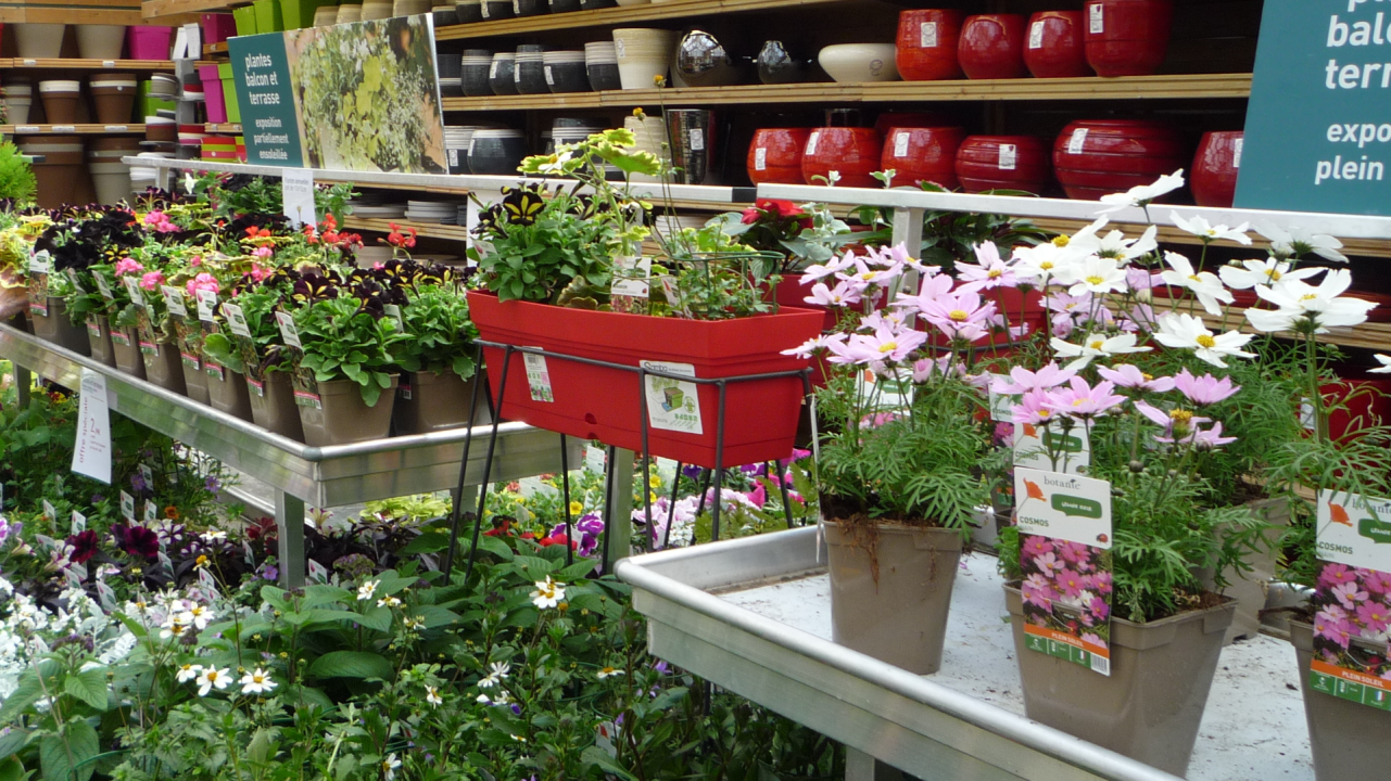 Comment réduire les risques d’échec des innovations produits ? De l’amont aux consommateurs en horticulture ornementale