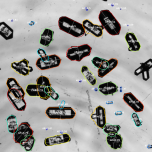 Bildoptische inline-Sensoren