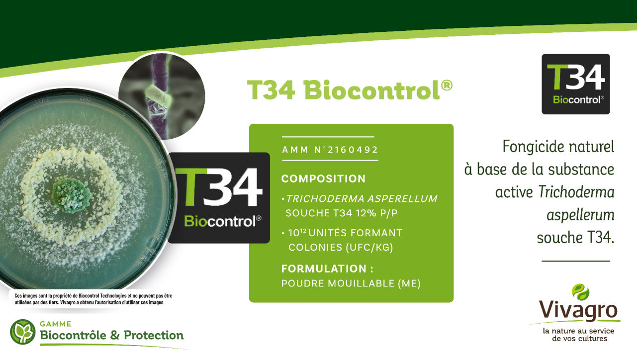 Gestion intégrée des pathogènes via le biocontrôle : cas du biofongicide Trichoderma asperellum T34