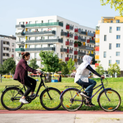 Vienna’s Sustainable City Within a City