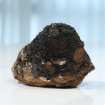 Organic Chaga (Inonotus obliquus) Extract 8:1
