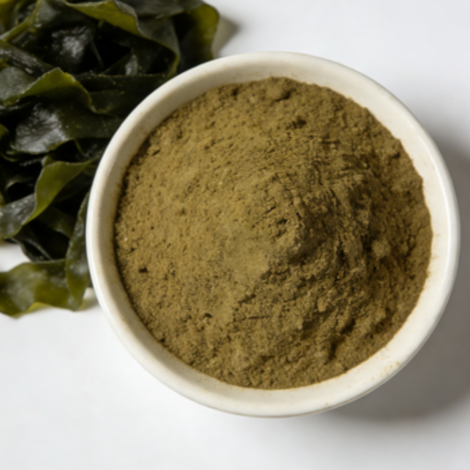 Kelp Extract