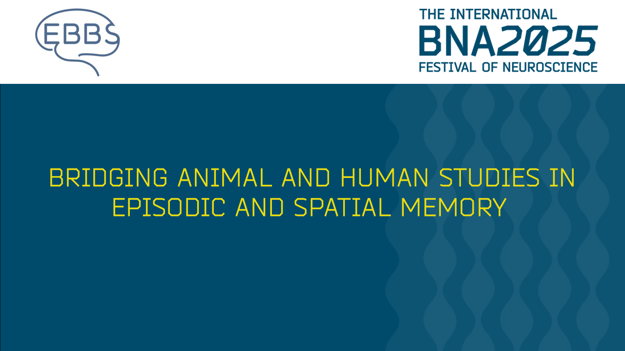 S34: Bridging Animal and Human Studies in Episodic and Spatial Memory