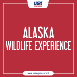 Canada Experience® e Usa Experience® presentano le novità per il 2025