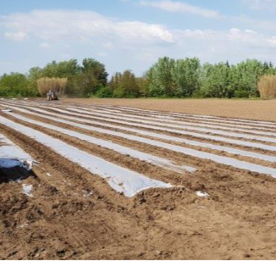 BIOPOLYANE INC SP MELON