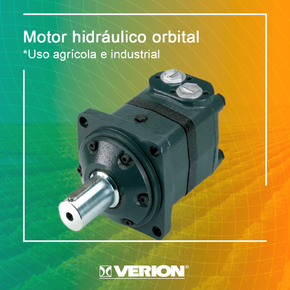 MOTORES ORBITAIS M+S