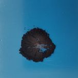 4. Nanoestrutas de carbono (nanotubos, grafeno e óxido de grafeno) em solução, pó e masterbatches