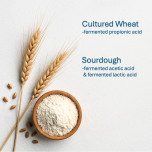 Fermented/Cultured Natural Preservatives