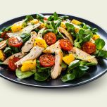 PerfectaSOL® The perfect texturizer for plant-based meat