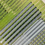 Agri-PV sur les vergers