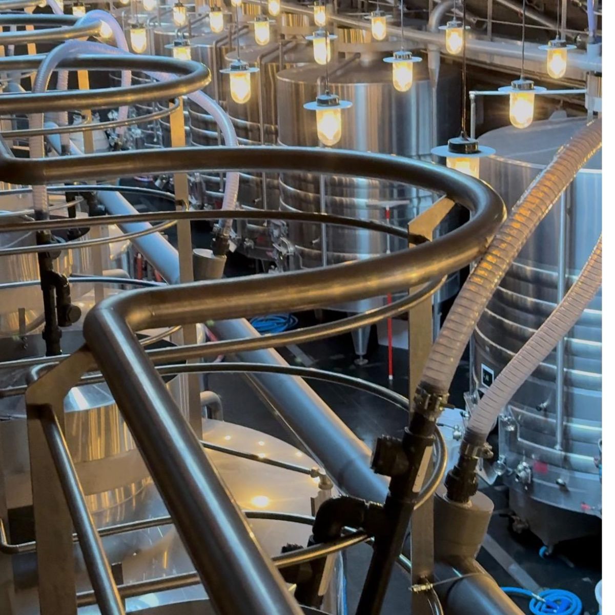 Réseaux de captation de CO2 fermentaire