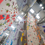 Automation Made Easy