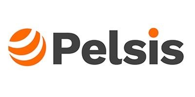 Pelsis