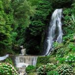 An Adventure of a Lifetime