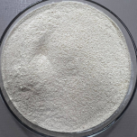 Fibra de Mandioca - Lançamento