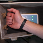 Kylii Quest, the interactive treasure hunt indoor & outdoor