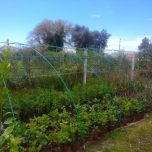 Arceau flexible en matériaux composites