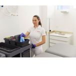 Vileda Professional cloths