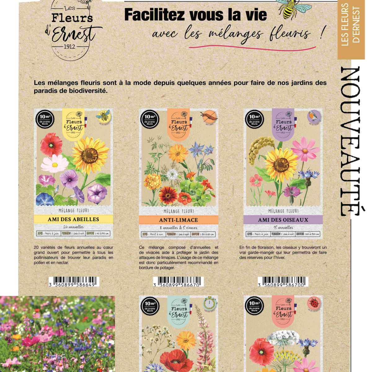 LES FLEURS D'ERNEST