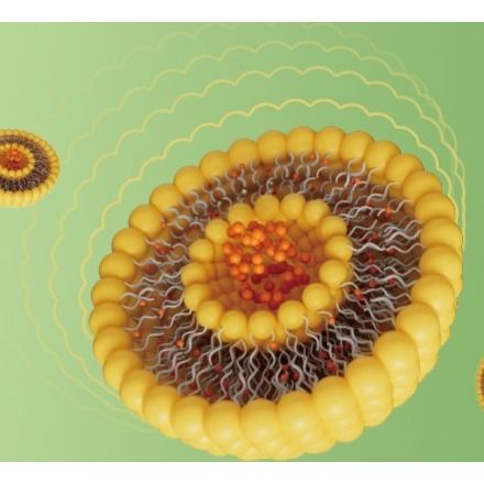 Durlip™ Liposomal Solution