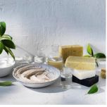 Lemon Myrtle (Backhousia citriodora)