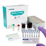 Brucella Coombs Test Kit