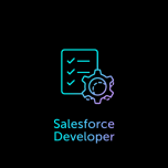 Salesforce Developer