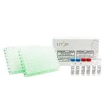 Human Papillomavirus Infections