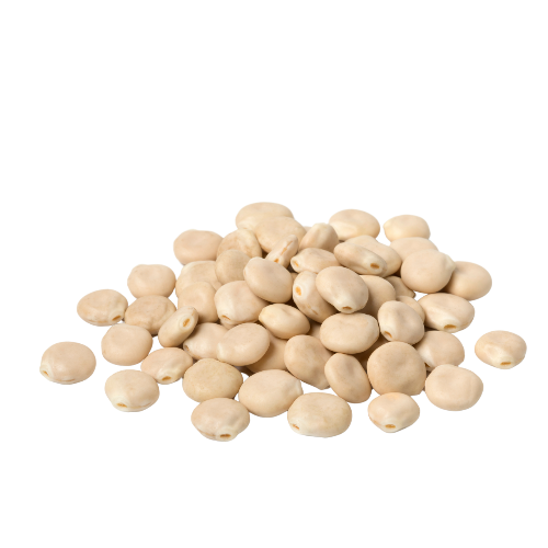 Ingrédients issus du lupin