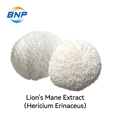 Lion's Mane(Hericium Erinaceus) Extract