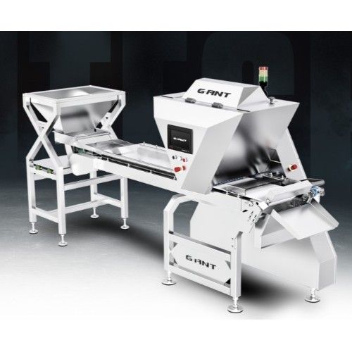 G-ANT – Ultra-High-Resolution Camera Sorter at 50,000 Scans per Second!