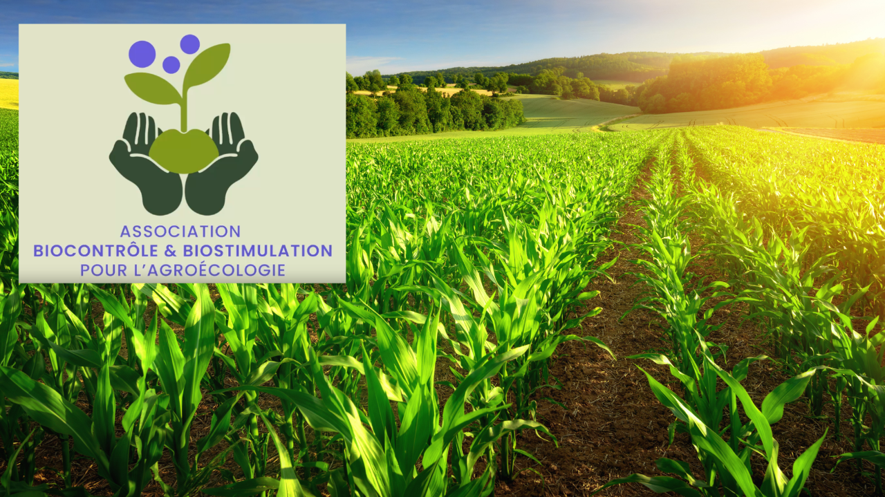 Grand Défi Biocontrôle et Biostimulation : soutenir le déploiement des biosolutions