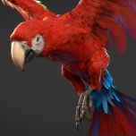 NAMSON digital Artworks