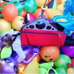 Human Crane Experience