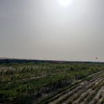 The Taklamakan Desert area in the southern Xinjiang region
