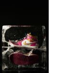 SCULTURE DI GHIACCIO - INCASTONAMENTO