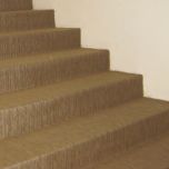 Découvrez WISE, la révolution éco-responsable dans le monde des matériaux de revêtement !