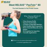 PeaTein™ - Pea Protein Isolate 80