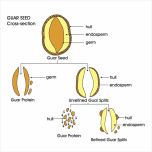 Edicol Depolymerised Food Grade Guar Gums - DPG Series